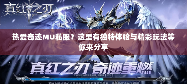 热爱奇迹MU私服？这里有独特体验与精彩玩法等你来分享  第1张