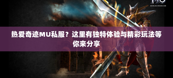 热爱奇迹MU私服？这里有独特体验与精彩玩法等你来分享  第2张