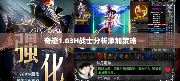 奇迹1.03H战士分析添加策略  第1张